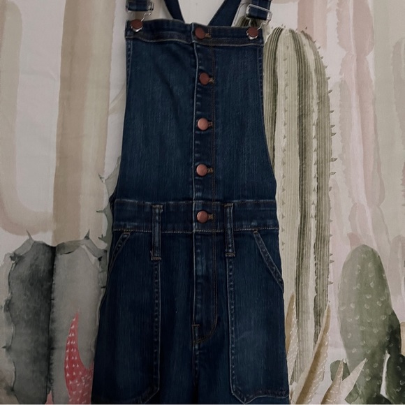 madewell button front skinny overalls sz small - Picture 4 of 8